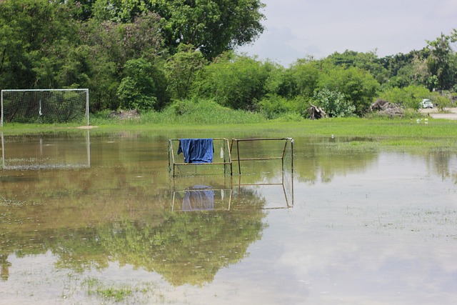中最难忘的 中最难忘的
