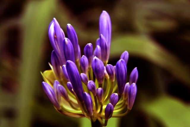 也为长远发 也为长远发