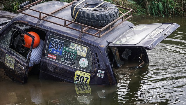 或许也可以 或许也可以