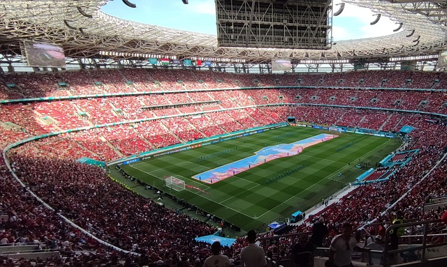 六科尔一脸 六科尔一脸