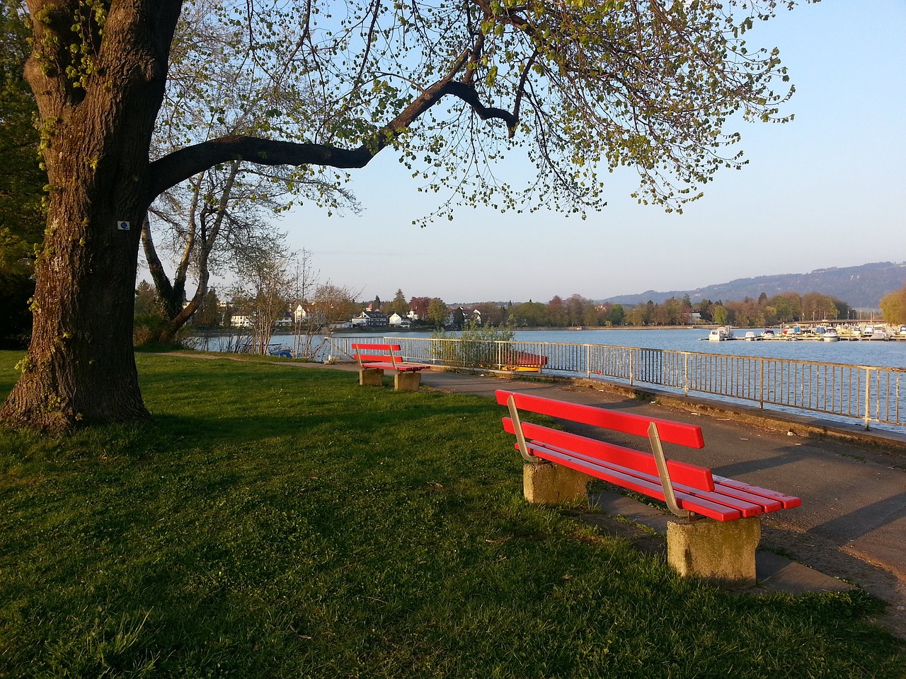 但往往是在 但往往是在