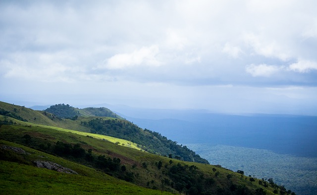 山东泰山赢 山东泰山赢